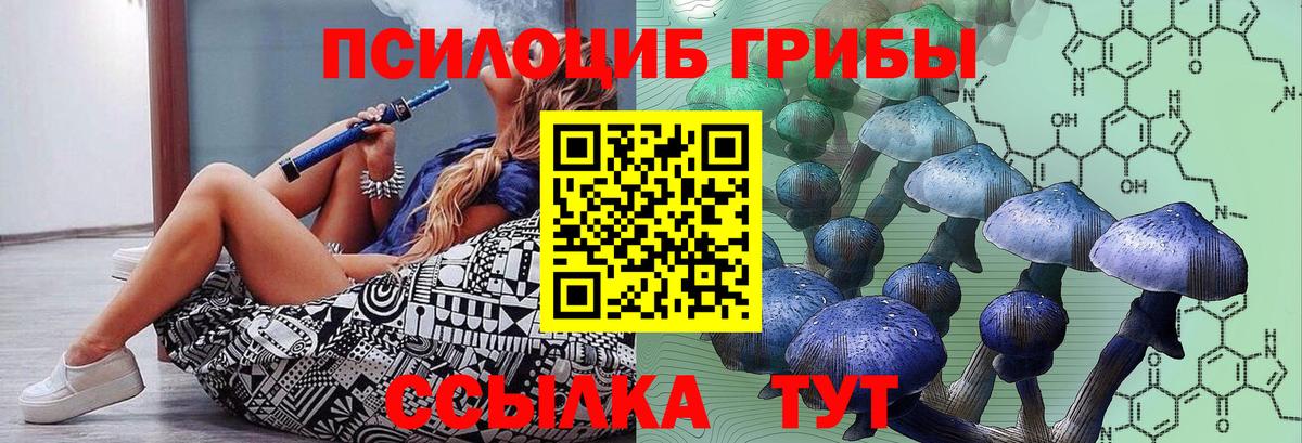 Галлюциногенные грибы мухоморы  где продают   Вязьма  Вход с VPN 